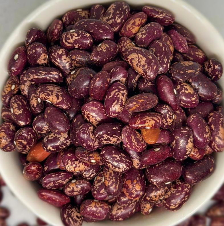 Фото ФАСОЛЬ КРАСНАЯ